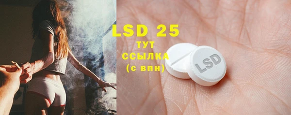 дживик Осинники