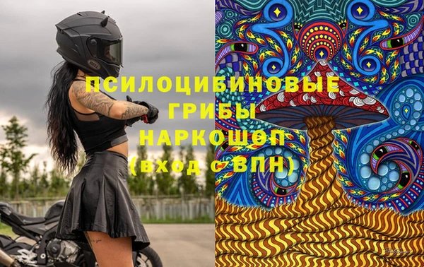 дживик Осинники