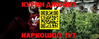 индика Заволжье