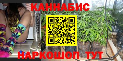 трава Камышлов