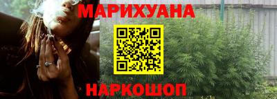 индика Заволжье