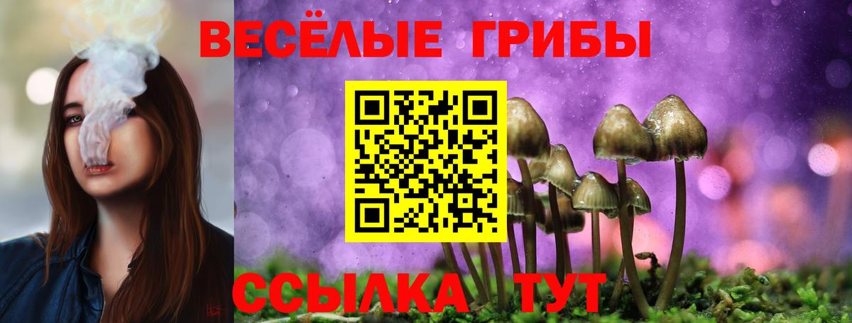 Лысьва  Псилоцибиновые грибы Psilocybe  Вход с VPN  Галлюциногенные грибы Cubensis 
